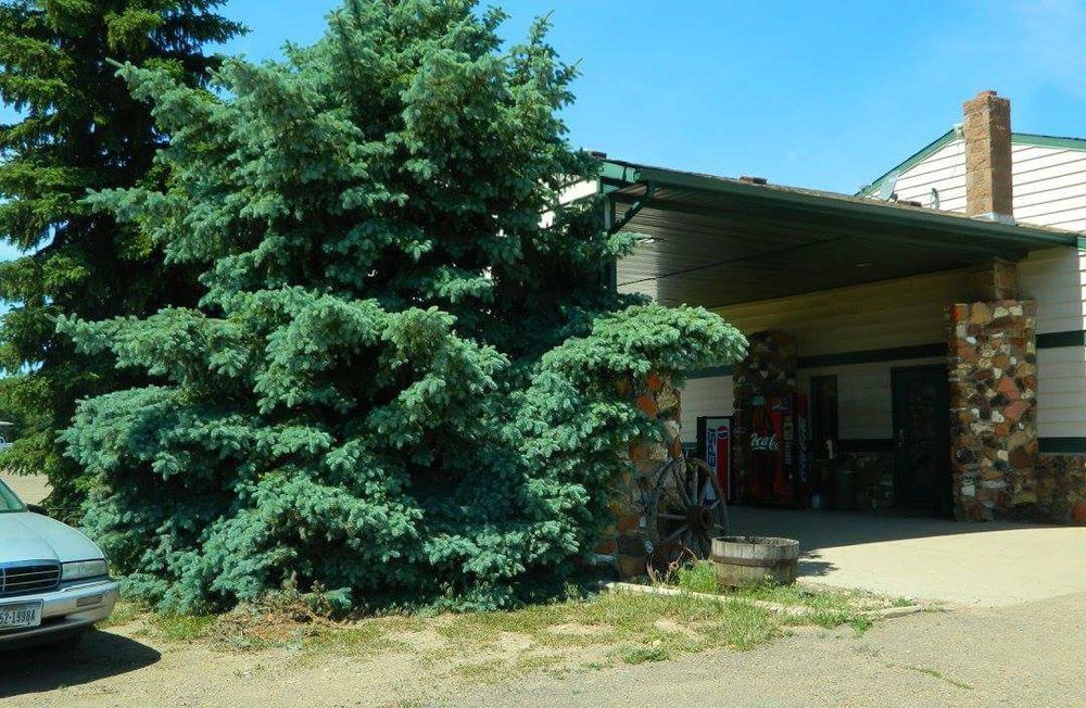 Rodeway Inn Gateway To Medora T-Roosevelt & Makoshika State Park Wibaux Экстерьер фото